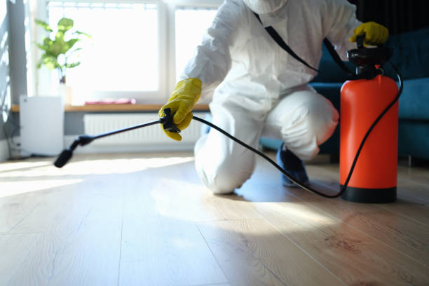 Reliable Trauma Scene Cleanup contractor in Palm Beach Gardens, FL by Trauma Clean Pros